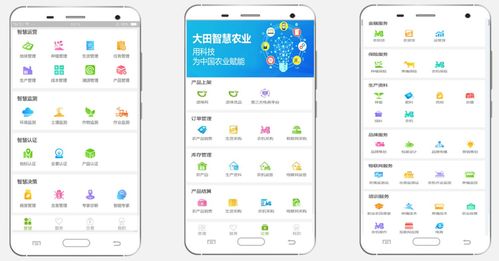 大田智慧农业 以1.28亿元数字化服务，筑牢农产品安全生命线