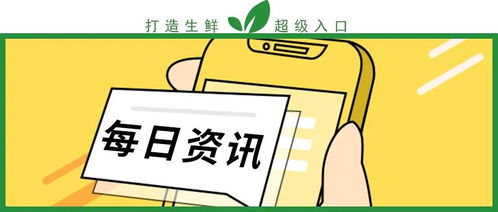 多领域加速布局，数字内容与供应链助力产业升级